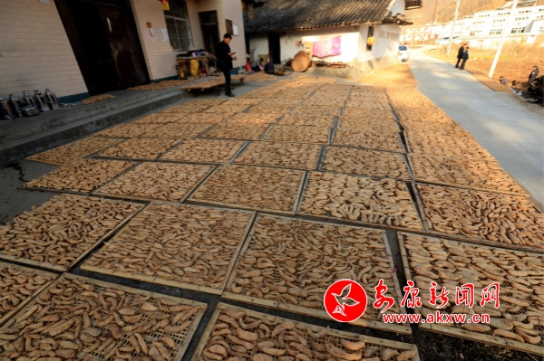 A_(ki)ԼN߀ոȺNֲ飬(dng)ȺÓؚ¸_meitu_2.jpg