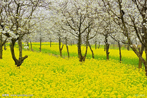 a70174c882d8bee4b15f632719036221_副本.jpg