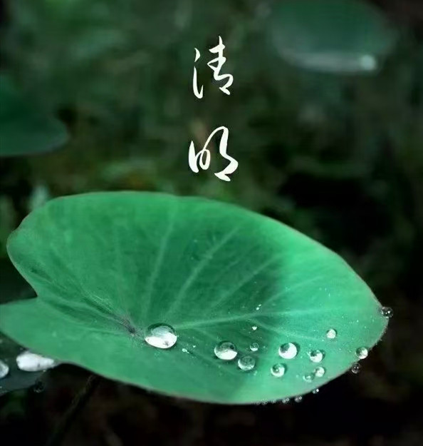 配圖_副本.jpg