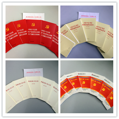 兩學一做資料.jpg