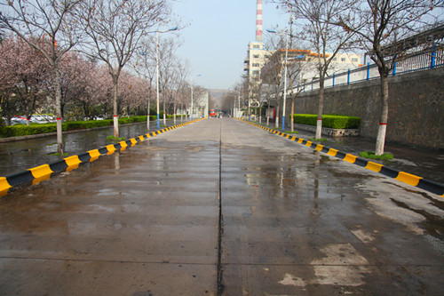 IMG_3911_副本.jpg